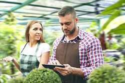 Дендроплан - верное планирование территории и решения этой задачи на уровне  в Коломне