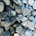 Kamenclub.ru: Щебень галтованный зеленый (змеевик) фр. 50-100 мм.  купить в Коломне галтовка мраморная зеленый, салатовый мрамор 12 500 руб/т   фото КАМЕНЬ КЛУБ