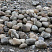 Kamenclub.ru: Речной валун (Ассорти) фр.100-300 мм.  купить в Коломне галечник серый, темно-серый, светло-серый речная галька крупных размеров 4200 руб/т   фото КАМЕНЬ КЛУБ