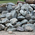 Kamenclub.ru: Гранит скальник (серо-зеленый) фр. 100-500 мм.  купить в Коломне гранит зеленый, серый, салатовый крупный ландшафтный валун 6 000 руб/т   фото КАМЕНЬ КЛУБ