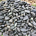 Kamenclub.ru: Темно-серый валунчик фр.100-300 мм.  купить в Коломне крупный природный камень серый, темно-серый, светло-серый речная галька большого размера окатанная 4500 руб/т   фото КАМЕНЬ КЛУБ