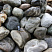 Kamenclub.ru: Речной валун Кабанчик фр.300-500 мм.  купить в Коломне крупный природный камень галька серый, темно-серый речной валун галечник масштабный 7000 руб/т   фото КАМЕНЬ КЛУБ
