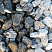 Kamenclub.ru: Щебень галтованный черный (мрамор) фр. 50-100 мм.  купить в Коломне мрамор черный с белыми прожилками щебень ландшафтный мраморный 15000 руб/т   фото КАМЕНЬ КЛУБ