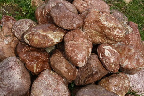 Kamenclub.ru: Розовый валунчик фр.100-300 мм.  купить в Коломне крупный природный камень розовый, серый молочный красный речной галечник природный 7850 руб/т   фото КАМЕНЬ КЛУБ