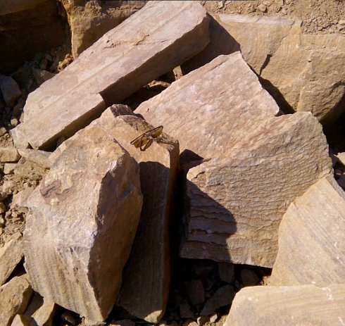 Kamenclub.ru: Песчаник пластушка желтый с рисунком (7-15 см)  купить в Коломне плитняк - пластушка - бут желтый песчаник 10200 руб/м3   фото КАМЕНЬ КЛУБ