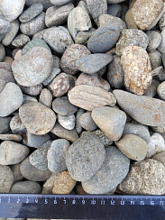 Kamenclub.ru: Галька речная окат (пестрая) фр. 20-40 мм. купить  в Коломне галька речная пестрая, серая, серые оттенки галька речная окатанная округлая 5000 руб/т   фото КАМЕНЬ КЛУБ