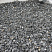 Kamenclub.ru: Щебень крошка черный (мрамор) фр. 10-20 мм.  купить в Коломне мрамор черный с белыми прожилками, черный, белый каменная ландшафтная декоративная крошка щебня 11000 руб/т   фото КАМЕНЬ КЛУБ