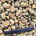 Kamenclub.ru: Галька речная окат рыжая фр. 20-40 мм. купить  в Коломне галька речная окатанная рыжая желтая серая округлая речная галька 5000 руб/т   фото КАМЕНЬ КЛУБ