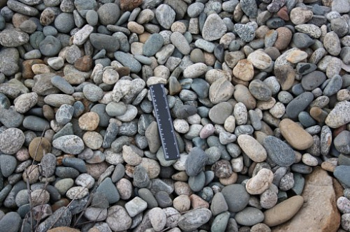 Kamenclub.ru: Галька речная окат (пестрая) фр. 20-40 мм. купить  в Коломне галька речная пестрая, серая, серые оттенки галька речная окатанная округлая 5000 руб/т   фото КАМЕНЬ КЛУБ