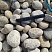 Kamenclub.ru: Галька речная окат (серо-белая) фр. 70-120 мм купить  в Коломне галька галечник бело-серая, серо-белая, серая, белая речная природная галька  8000 руб/т   фото КАМЕНЬ КЛУБ