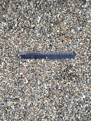 Kamenclub.ru: Галька речная окат (серая) фр.5-10 мм купить  в Коломне галька речная серая, серый, темно-серый, светло-серый, коричневый речная окатанная галька декоративная ландшатфная 5000 руб/т   фото КАМЕНЬ КЛУБ