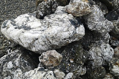 Kamenclub.ru: Черный гранит - кварцит фр. 100-500 мм.  купить в Коломне мрамор гранит черный с белыми прожилками, серый, белый валун скальный колотый 7000 руб/т   фото КАМЕНЬ КЛУБ