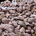 Kamenclub.ru: Розовый валунчик фр.100-300 мм.  купить в Коломне крупный природный камень розовый, серый молочный красный речной галечник природный 7850 руб/т   фото КАМЕНЬ КЛУБ
