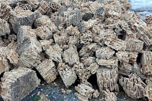 Kamenclub.ru: Крымский природный меотис фр. 100-500 мм.  купить в Коломне меотис бежевый рыжий молочный желтый ракушечник 4 500 руб/т   фото КАМЕНЬ КЛУБ