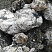 Kamenclub.ru: Черный гранит - кварцит фр. 100-500 мм.  купить в Коломне мрамор гранит черный с белыми прожилками, серый, белый валун скальный колотый 7000 руб/т   фото КАМЕНЬ КЛУБ