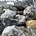 Kamenclub.ru: Черный гранит - кварцит фр. 500-1000 мм.  купить в Коломне гранит кварцит черный серый белый скальный колотый валун 9750 руб/т   фото КАМЕНЬ КЛУБ
