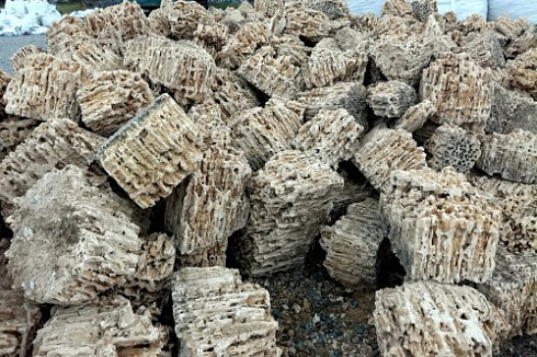 Kamenclub.ru: Крымский природный меотис фр. 100-500 мм.  купить в Коломне меотис бежевый рыжий молочный желтый ракушечник 4 500 руб/т   фото КАМЕНЬ КЛУБ