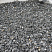 Kamenclub.ru: Щебень крошка черный (мрамор) фр. 20-40 мм.  купить в Коломне мрамор черный с белыми прожилками мраморная каменная крошка 11000 руб/т   фото КАМЕНЬ КЛУБ