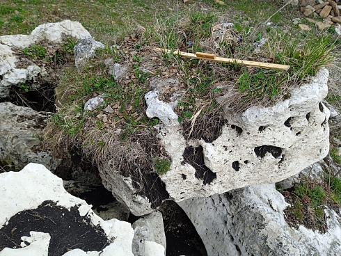 Kamenclub.ru: Выветренный известняк со мхом фр. 100-500 мм.  купить в Коломне известняк серый белый зеленый валун известняковый крупный 10000 руб/т   фото КАМЕНЬ КЛУБ