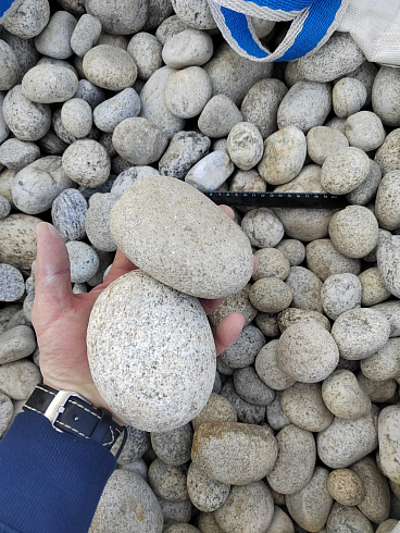 Kamenclub.ru: Галька речная окат (серо-белая) фр. 70-120 мм купить  в Коломне галька галечник бело-серая, серо-белая, серая, белая речная природная галька  8000 руб/т   фото КАМЕНЬ КЛУБ