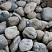 Kamenclub.ru: Темно-серый валунчик фр.100-300 мм.  купить в Коломне крупный природный камень серый, темно-серый, светло-серый речная галька большого размера окатанная 4500 руб/т   фото КАМЕНЬ КЛУБ