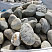 Kamenclub.ru: Речной валун (Ассорти) фр.100-300 мм.  купить в Коломне галечник серый, темно-серый, светло-серый речная галька крупных размеров 4200 руб/т   фото КАМЕНЬ КЛУБ
