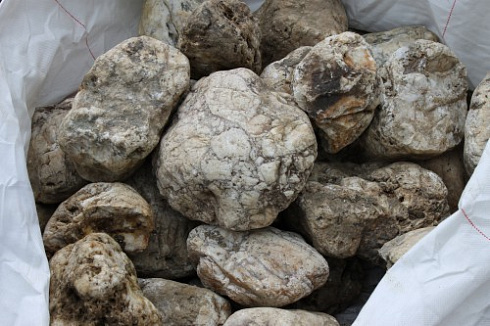 Kamenclub.ru: Кварцевый валунчик фр.100-300 мм.  купить в Коломне кварц белый, бежевый молочный рыжий крупный природный камень галечник 7850 руб/т   фото КАМЕНЬ КЛУБ