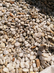 Галька Крымская Жемчужина фр. 10-20 мм.  купить в Коломне фото Камень Клуб