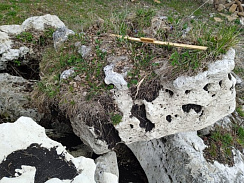 Kamenclub.ru: Выветренный известняк (степной) фр. 500-1500 мм.  купить в Коломне    10000 руб/т   фото КАМЕНЬ КЛУБ