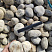 Kamenclub.ru: Галька речная окат (серо-белая) фр. 70-120 мм купить  в Коломне галька галечник бело-серая, серо-белая, серая, белая речная природная галька  8000 руб/т   фото КАМЕНЬ КЛУБ