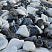 Kamenclub.ru: Мраморная крошка (щебень галтованный микс:: белый-черный) фр.20-40 мм  купить в Коломне мрамор белый, черный мраморный галтованный щебень 15500 руб/т   фото КАМЕНЬ КЛУБ