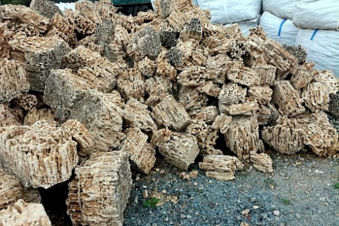 Kamenclub.ru: Крымский природный меотис фр. 100-500 мм.  купить в Коломне меотис бежевый рыжий молочный желтый ракушечник 4 500 руб/т   фото КАМЕНЬ КЛУБ