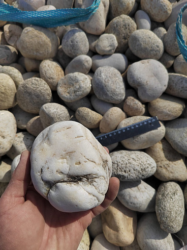 Kamenclub.ru: Галька речная окат (серо-белая) фр. 70-120 мм купить  в Коломне галька галечник бело-серая, серо-белая, серая, белая речная природная галька  8000 руб/т   фото КАМЕНЬ КЛУБ