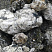 Kamenclub.ru: Черный гранит - кварцит фр. 100-500 мм.  купить в Коломне мрамор гранит черный с белыми прожилками, серый, белый валун скальный колотый 7000 руб/т   фото КАМЕНЬ КЛУБ