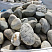 Kamenclub.ru: Речной валун (Ассорти) фр.100-300 мм.  купить в Коломне галечник серый, темно-серый, светло-серый речная галька крупных размеров 4200 руб/т   фото КАМЕНЬ КЛУБ