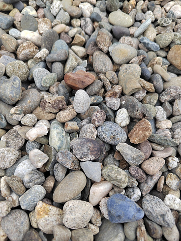 Kamenclub.ru: Галька речная окат (серая) фр.10-20 мм купить  в Коломне галька речная серая, серый, темно-серый, светло-серый, коричневый ландшафтная декоративная речная окатанная округлая галька 5000 руб/т   фото КАМЕНЬ КЛУБ