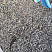 Kamenclub.ru: Галька речная окат (серая) фр.3-5 мм купить  в Коломне галька речная серая бежевый темно-серый окатанный речной камень округлый 9500 руб/т   фото КАМЕНЬ КЛУБ