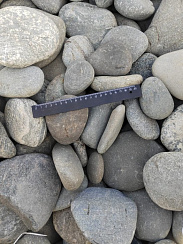 Kamenclub.ru: Галька речная плоская (ассорти) фр. 70-150 мм. купить в Коломне галька галечник серый белый темно-серый синий светло-серый плоская природная галька  9000 руб/т   фото КАМЕНЬ КЛУБ