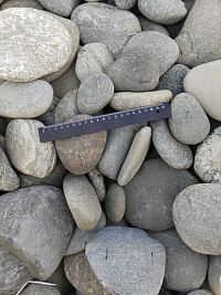 Kamenclub.ru: Галька речная плоская (ассорти) фр. 70-150 мм. купить в Коломне галька галечник серый белый темно-серый синий светло-серый плоская природная галька  9000 руб/т   фото КАМЕНЬ КЛУБ