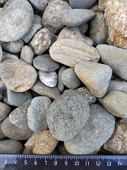 Kamenclub.ru: Галька речная окат (серая) фр.40-60 мм купить  в Коломне галька речная серый бежевый рыжий коричневый округлый речной камень 5000 руб/т   фото КАМЕНЬ КЛУБ