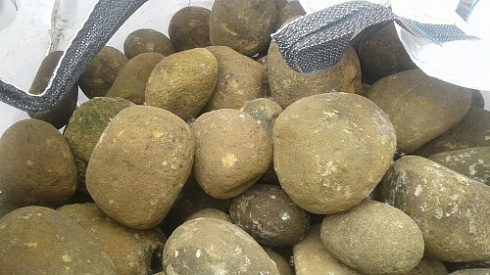 Kamenclub.ru: Песчаник ядра, фр. 100-300 мм  купить в Коломне песчаник бежевый серый рыжий речная галька 5 000 руб/т   фото КАМЕНЬ КЛУБ