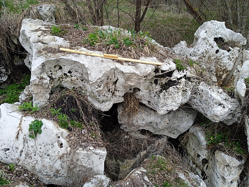 Kamenclub.ru: Выветренный известняк со мхом фр. 100-500 мм.  купить в Коломне известняк серый белый зеленый валун известняковый крупный 10000 руб/т   фото КАМЕНЬ КЛУБ