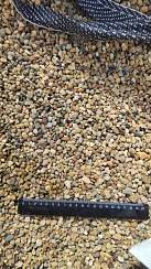 Kamenclub.ru: Галька окат (серо-желтая) фр.5-10 мм. купить  в Коломне галька речная рыжий, желтый, рыжий, серо-желтый речная окатанная галька декоративная 5000 руб/т   фото КАМЕНЬ КЛУБ