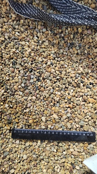 Kamenclub.ru: Галька окат (серо-желтая) фр.5-10 мм. купить  в Коломне галька речная рыжий, желтый, рыжий, серо-желтый речная окатанная галька декоративная 5000 руб/т   фото КАМЕНЬ КЛУБ