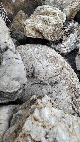 Kamenclub.ru: Кварцевый валунчик фр.100-300 мм.  купить в Коломне кварц белый, бежевый молочный рыжий крупный природный камень галечник 7850 руб/т   фото КАМЕНЬ КЛУБ