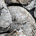 Kamenclub.ru: Кварцевый валунчик фр.100-300 мм.  купить в Коломне кварц белый, бежевый молочный рыжий крупный природный камень галечник 7850 руб/т   фото КАМЕНЬ КЛУБ