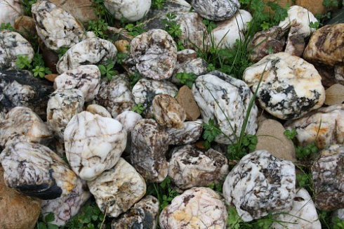 Kamenclub.ru: Кварцевый валунчик фр.100-300 мм.  купить в Коломне кварц белый, бежевый молочный рыжий крупный природный камень галечник 7850 руб/т   фото КАМЕНЬ КЛУБ