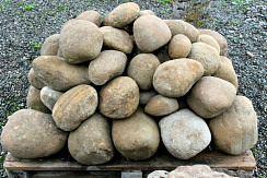 Kamenclub.ru: Песчаник ядра, фр. 100-300 мм  купить в Коломне песчаник бежевый серый рыжий речная галька 5 000 руб/т   фото КАМЕНЬ КЛУБ