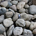 Kamenclub.ru: Речной валун (Ассорти) фр.100-300 мм.  купить в Коломне галечник серый, темно-серый, светло-серый речная галька крупных размеров 4200 руб/т   фото КАМЕНЬ КЛУБ