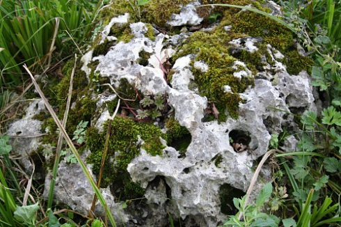 Kamenclub.ru: Выветренный известняк со мхом фр. 100-500 мм.  купить в Коломне известняк серый белый зеленый валун известняковый крупный 10000 руб/т   фото КАМЕНЬ КЛУБ